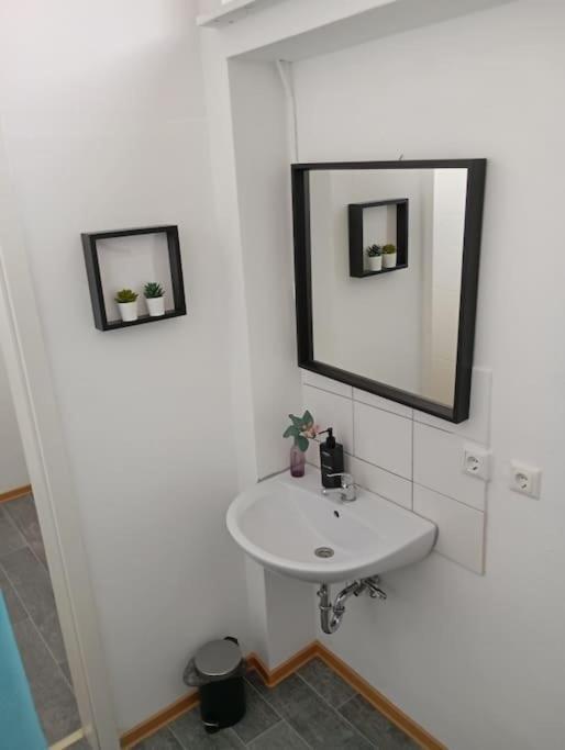 Apartment Koblenz Naehe Uni Und Bwzk Екстериор снимка